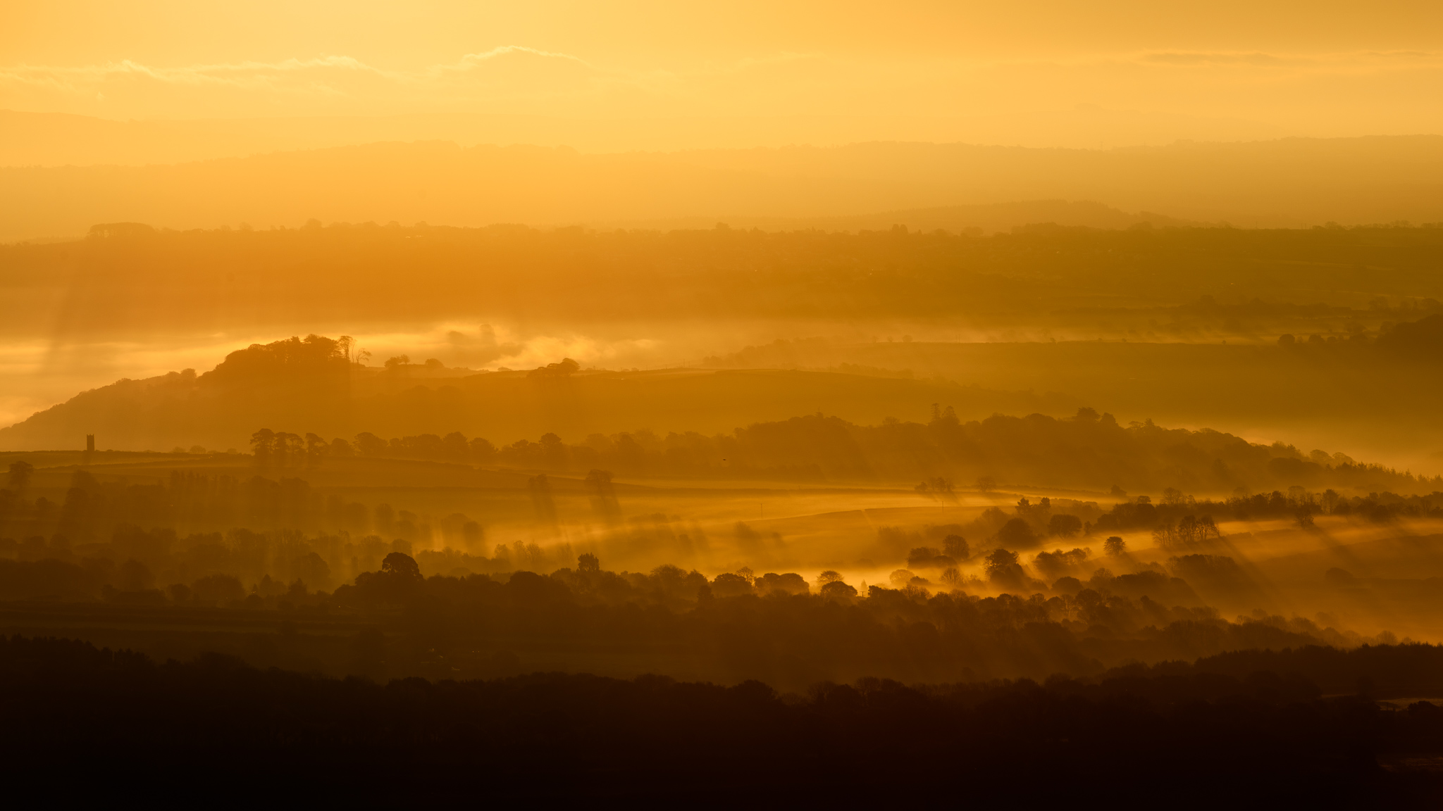 Photo of Tamar Valley from Kit Hill. It is a misty sunrise highlighting the trees and the landscape