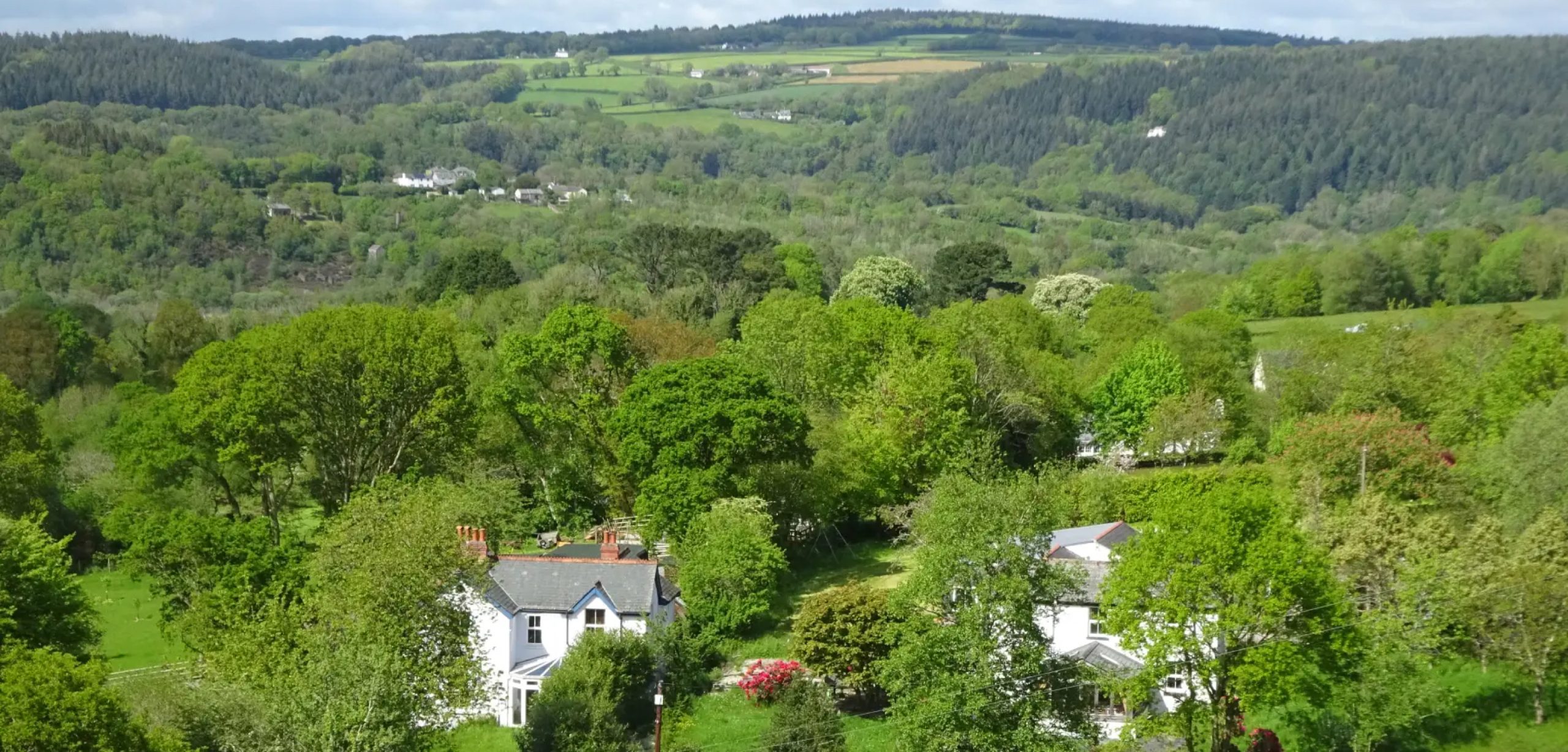 A Tamar and Tavy Valley Circular from Bere Alston Station