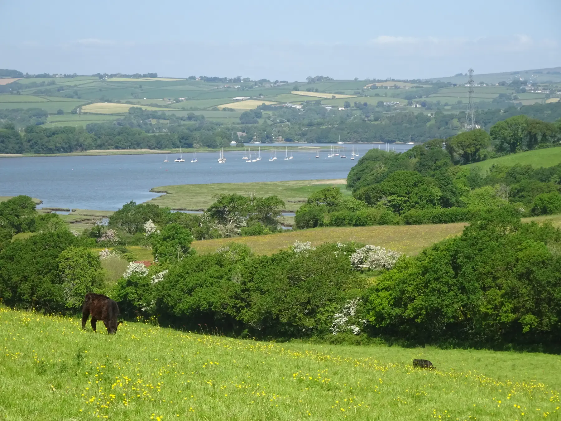 Bere Alston from Bere Ferrers Station via Lockridge Farm