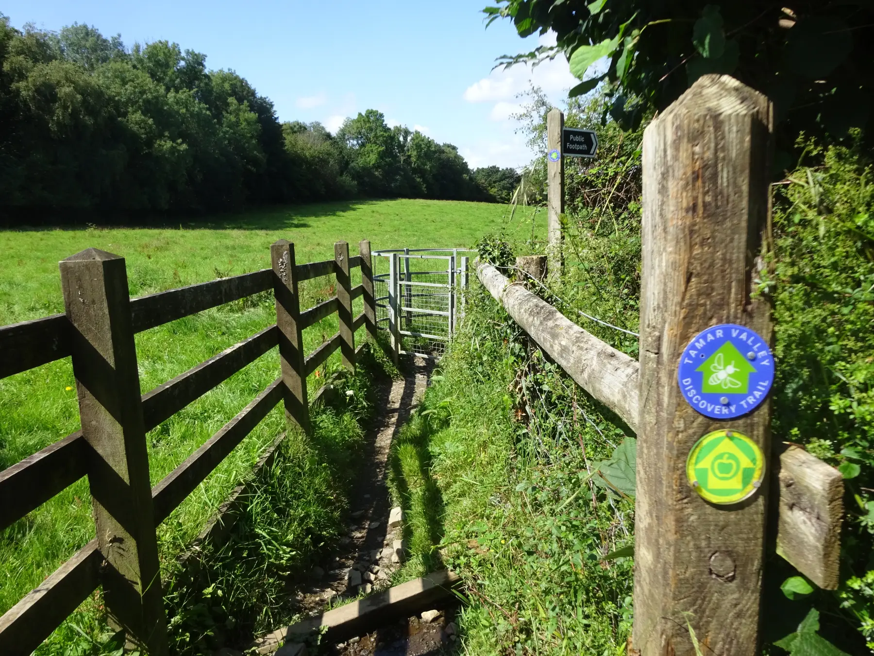 Bere Alston Station to Bere Ferrers along the Tamar Valley Discovery Trail