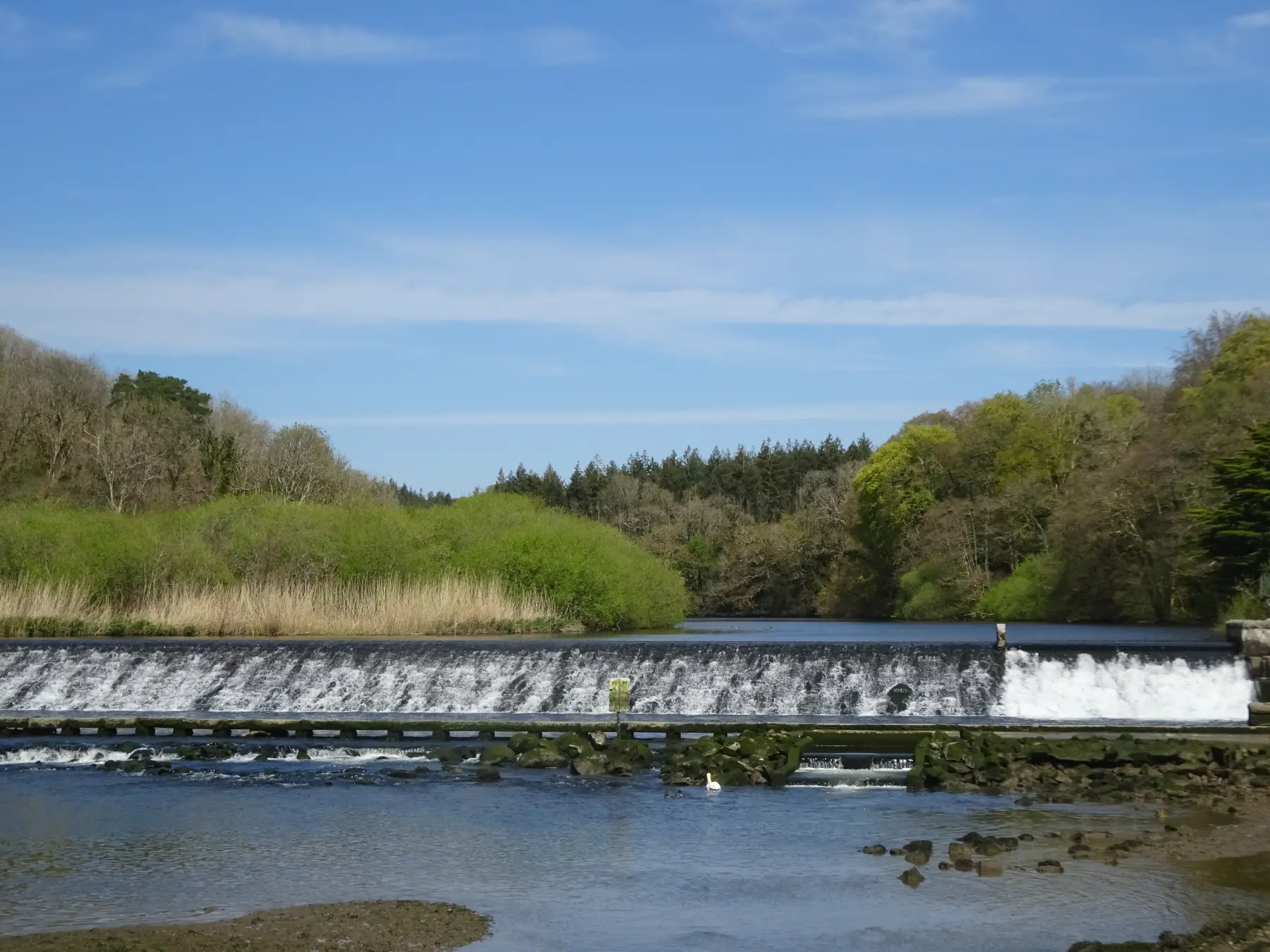 Lopwell Dam & Blaxton Wood