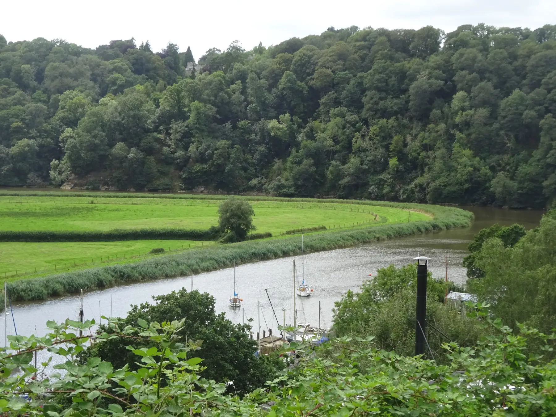 The Danescombe Valley from Calstock Station