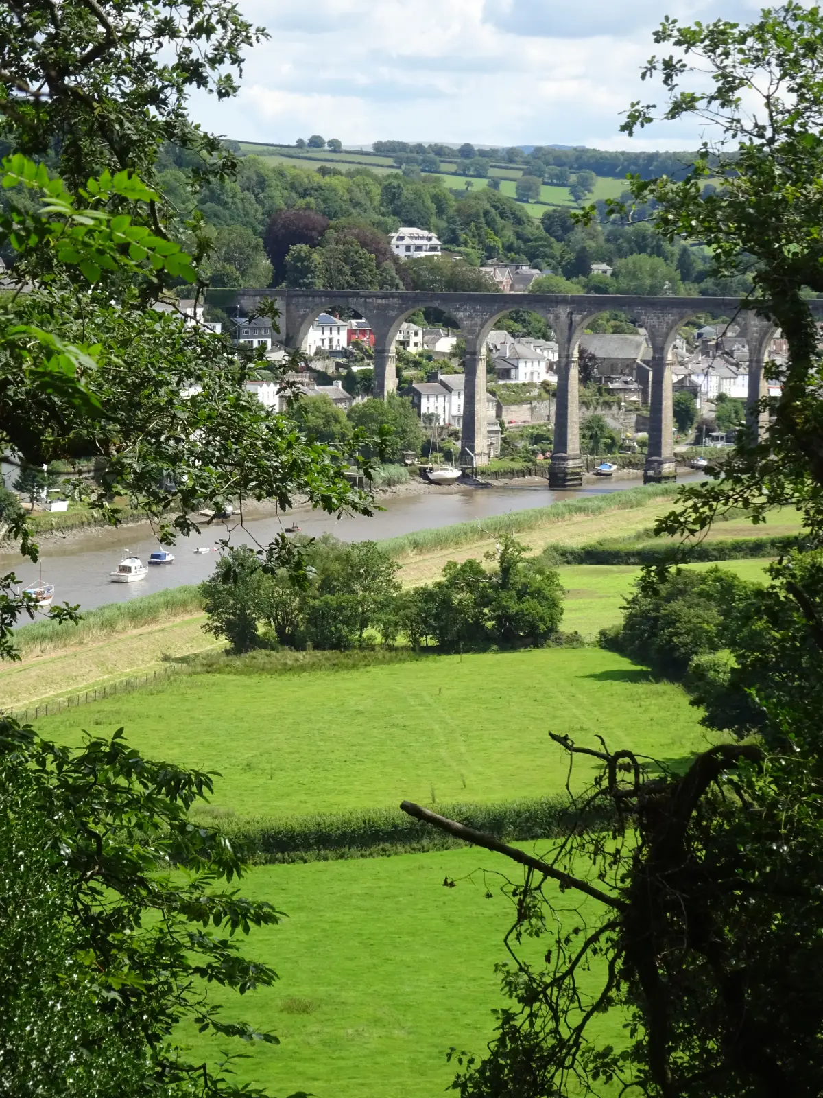 The River Tamar & Cotehele Quay from Calstock Station