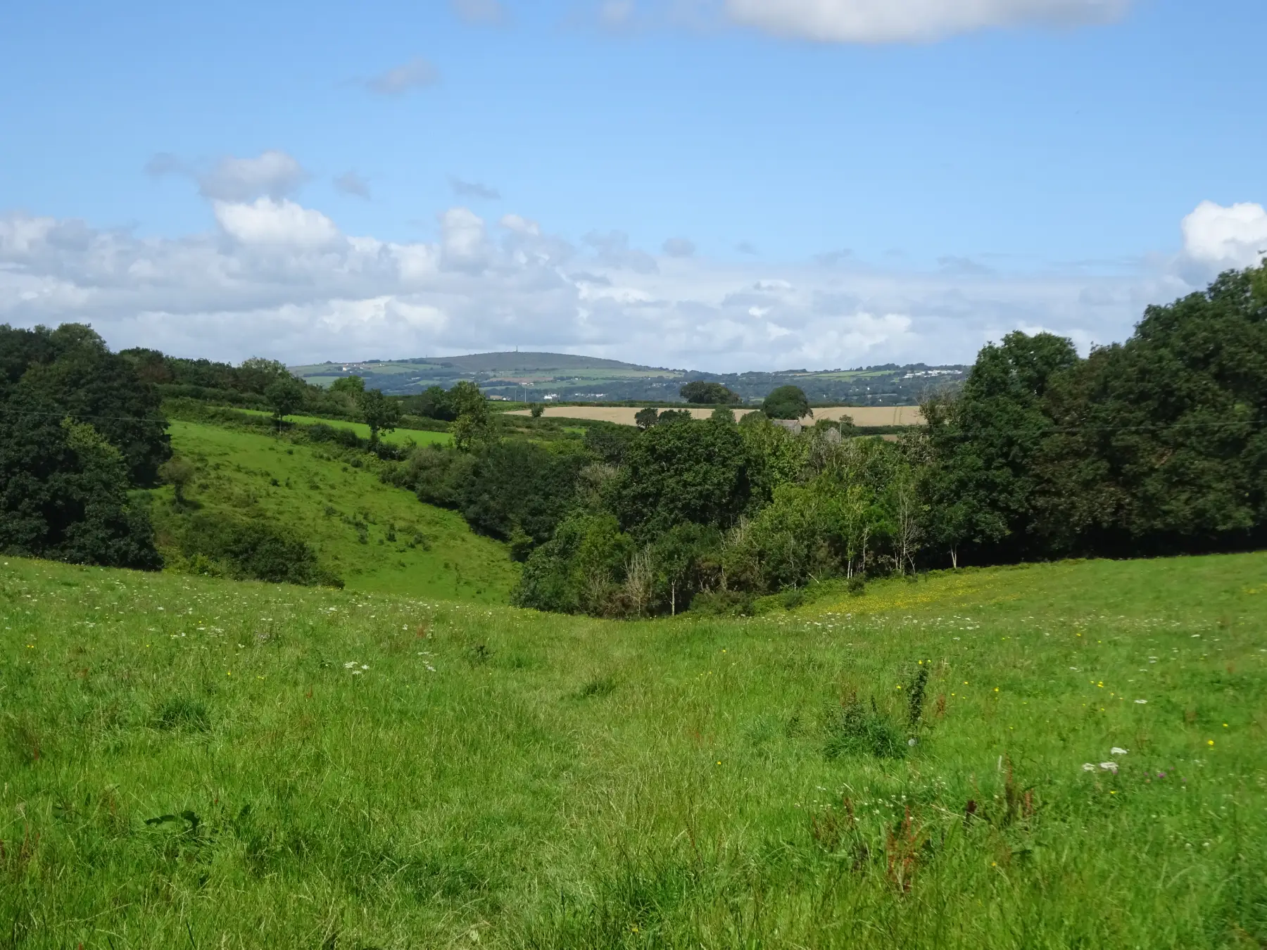 Heading down towards Buttspill Wood; Kit Hill in the distance