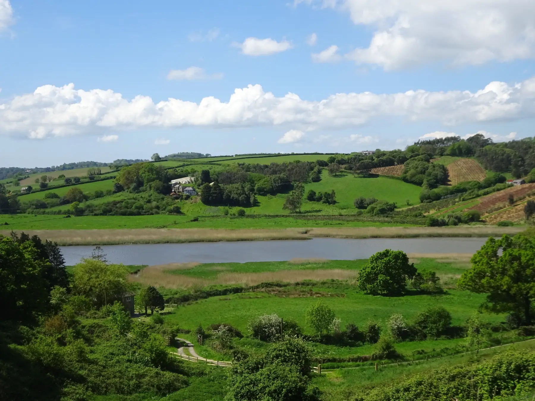 The River Tamar & Ward Mine from Bere Alston Station