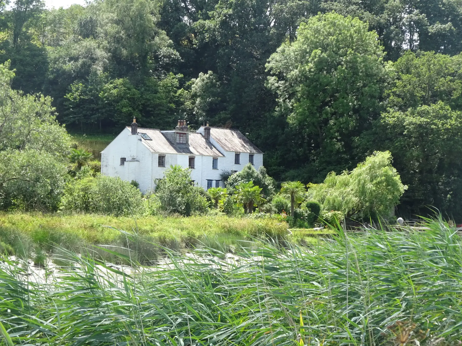 Tuckermarsh Quay & the River Tamar from Bere Alston Station