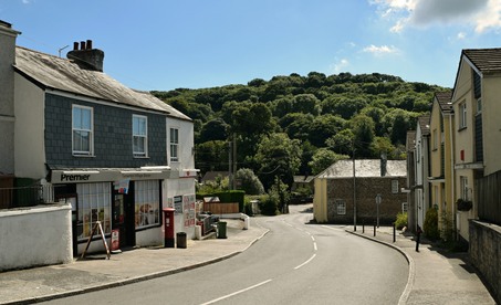 Tamerton Foliot Village Conservation Society