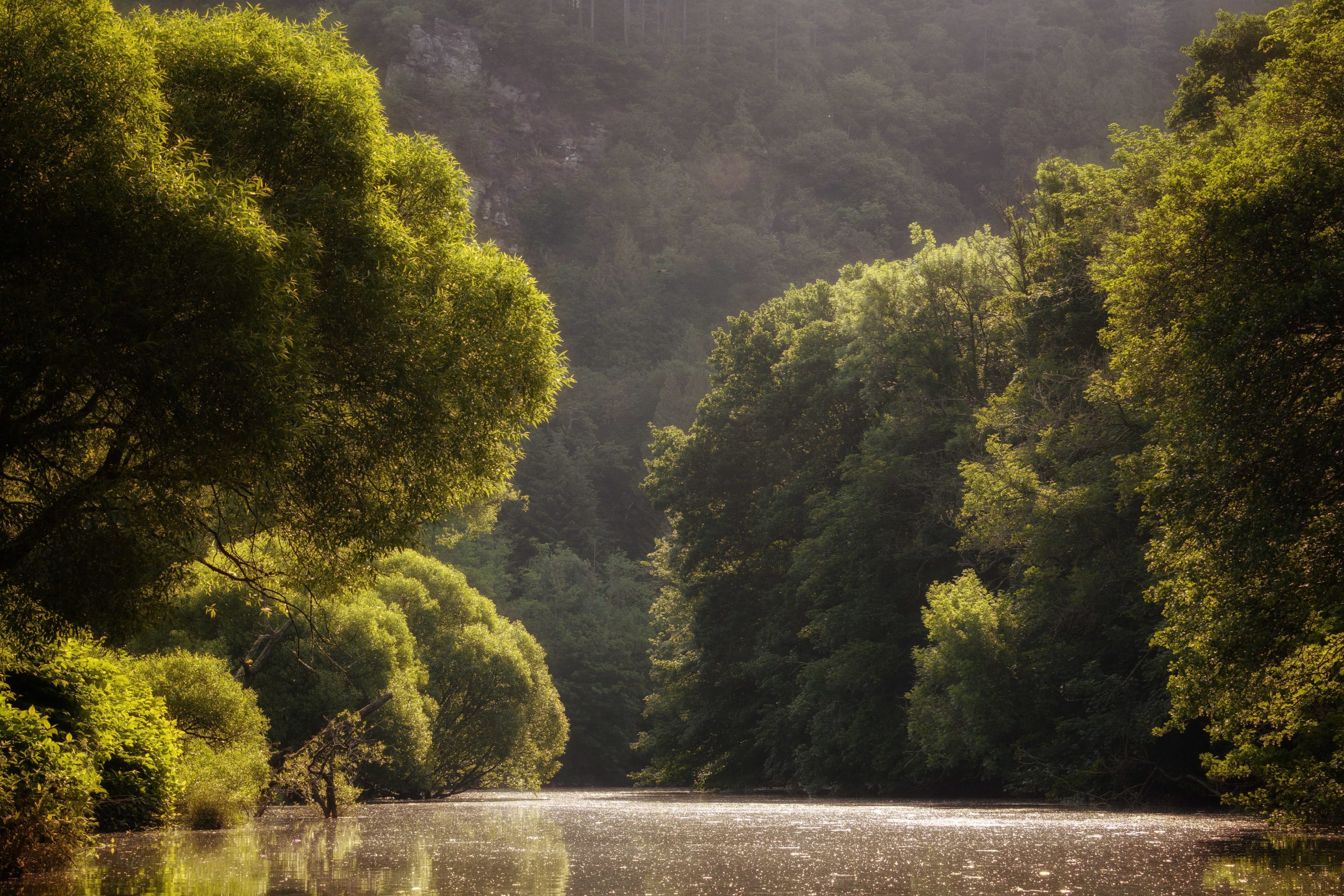 Opportunity to make a positive contribution in the Tamar Valley