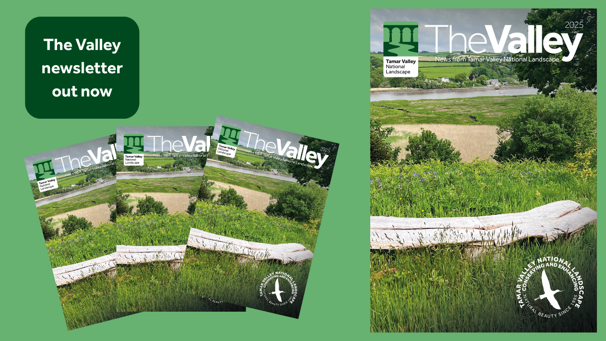 The Valley newsletter out now
