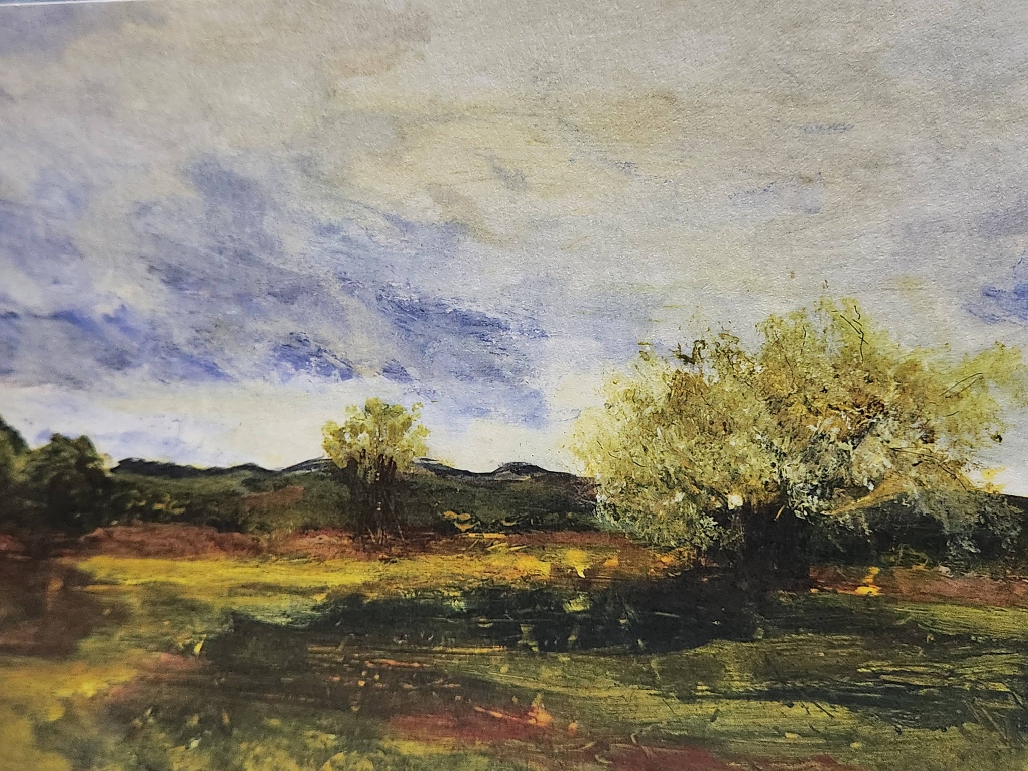 Tamar Valley National Landscape - Artist of the Month Talk - Anne-Marie Furse